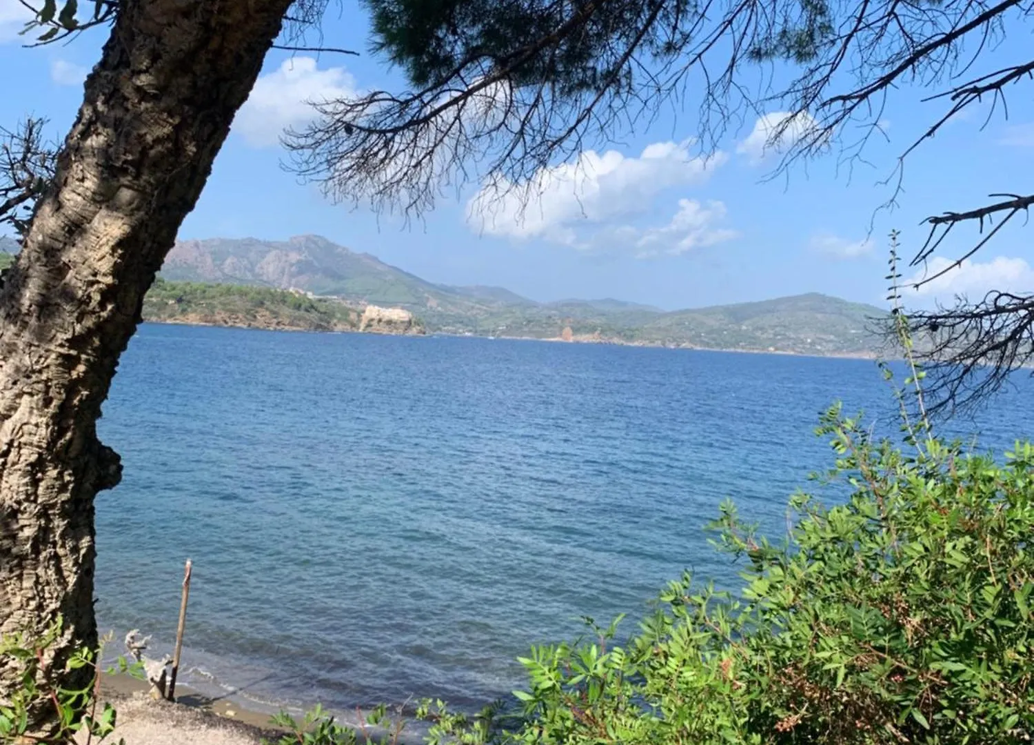 Il Polpo Blu Villa Rio nell'Elba 0*,