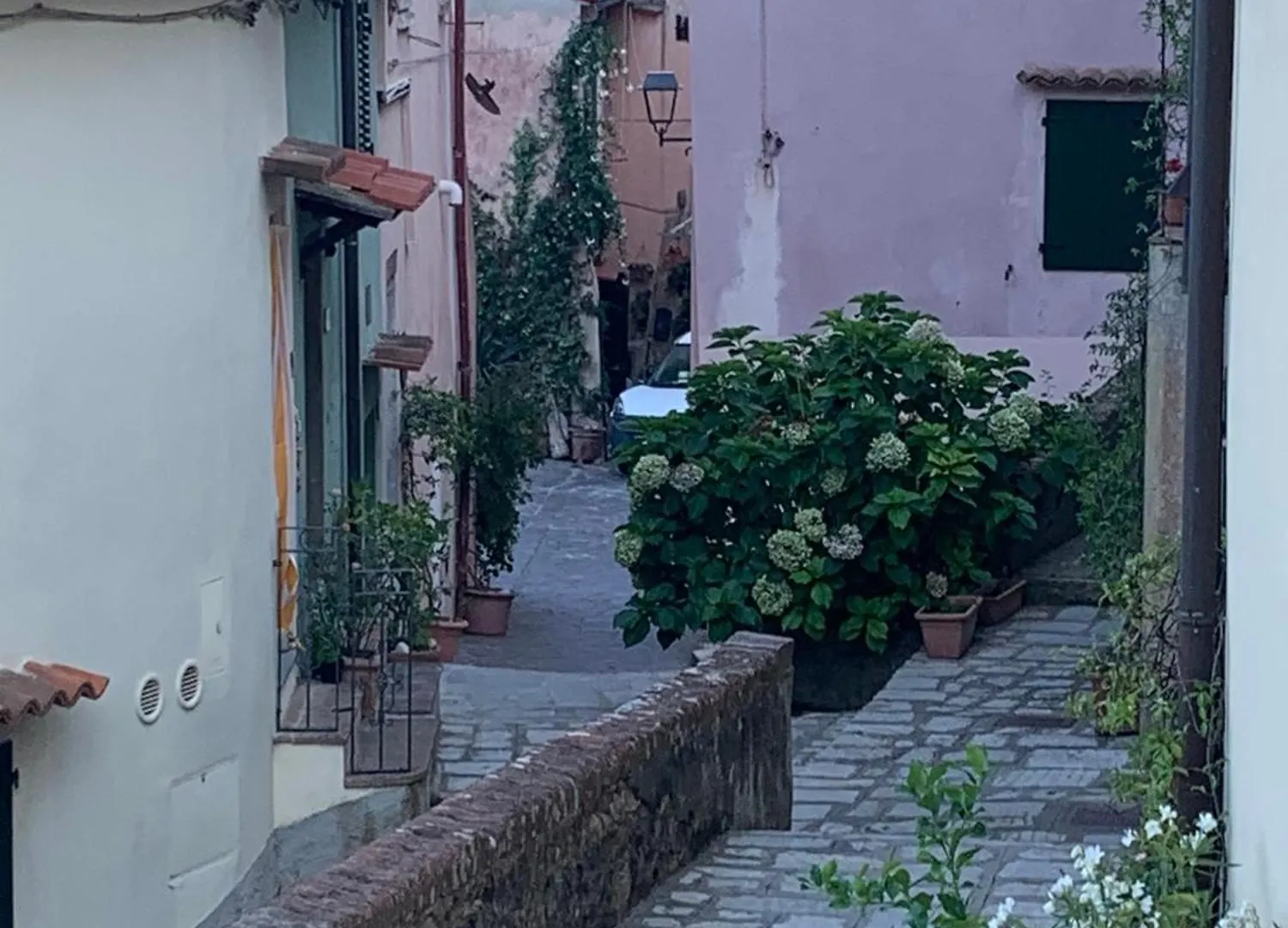 Il Polpo Blu Villa Rio nell'Elba 0*,