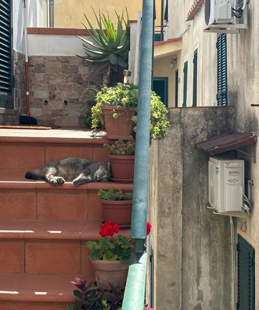 Il Polpo Blu Villa Rio nell'Elba