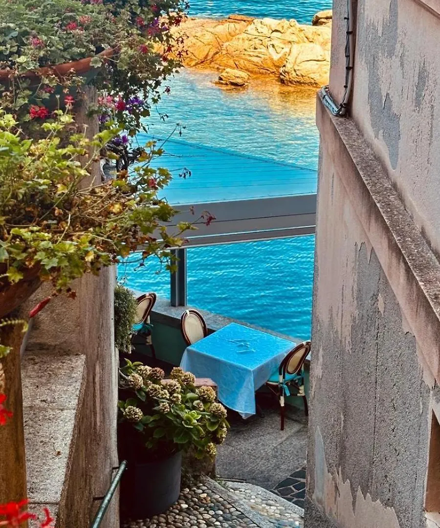 Il Polpo Blu Villa Rio nell'Elba 0*,  Italy
